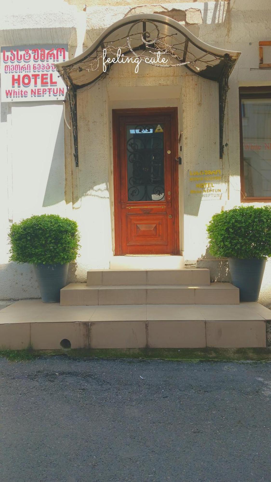 Hotel White Neptun Georgia Tbilisi Exterior foto